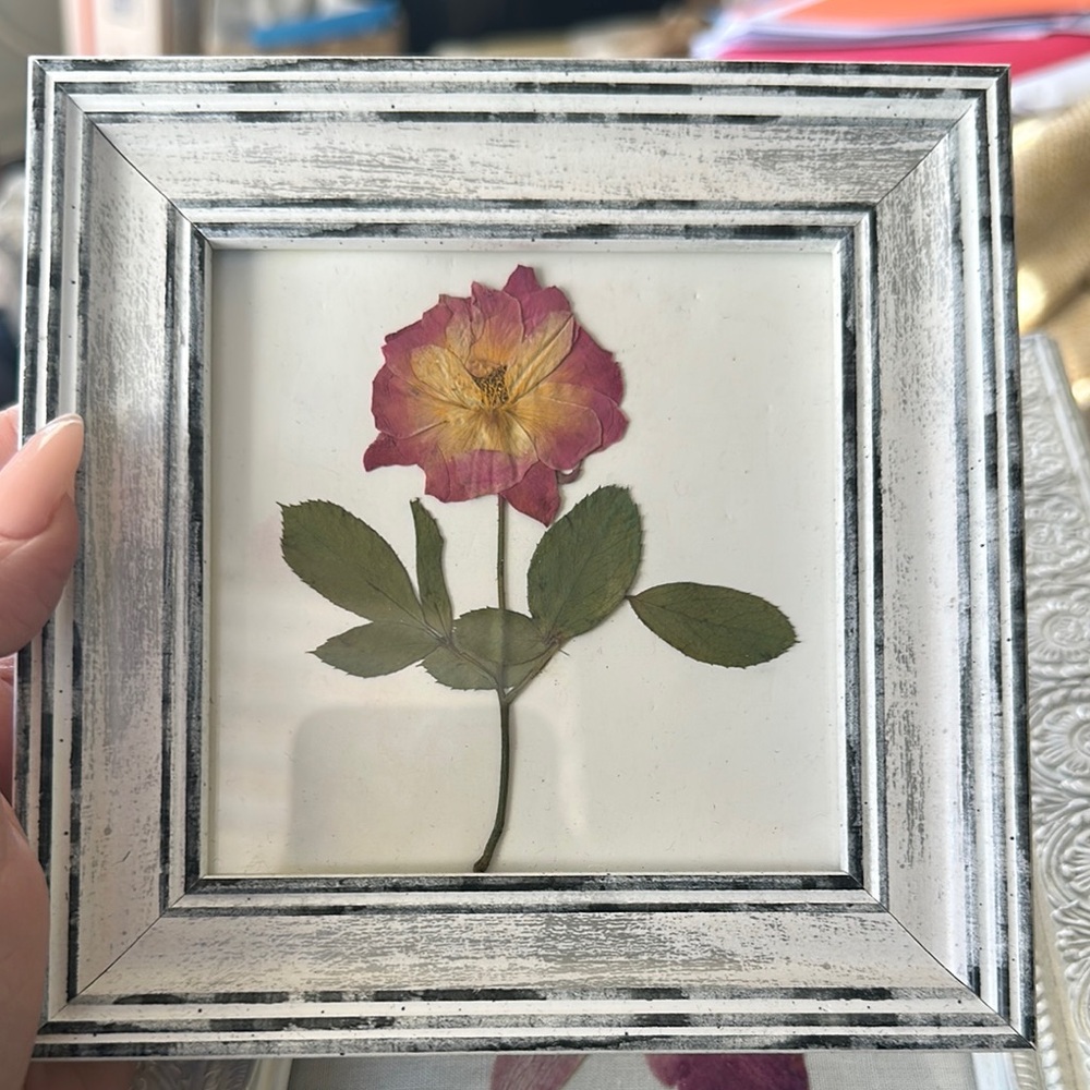 Framed Pressed Flower Art